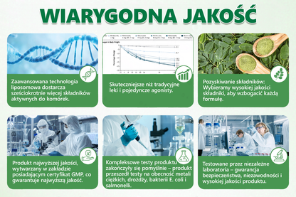 🪄🪄𝑨𝑵𝑮𝑬𝑳𝑻𝑹𝑨𝑷® Moringa × Berberyna × AMPK 10-w-1 Wsparcie metaboliczne, plaster z nanotechnologią mikroigłową 🇵🇱(Wystarczy raz dziennie, widoczne efekty w 7 dni) ✅ Na otyłość, wiotką skórę, bezdech senny, problemy ze stawami i wiele innych