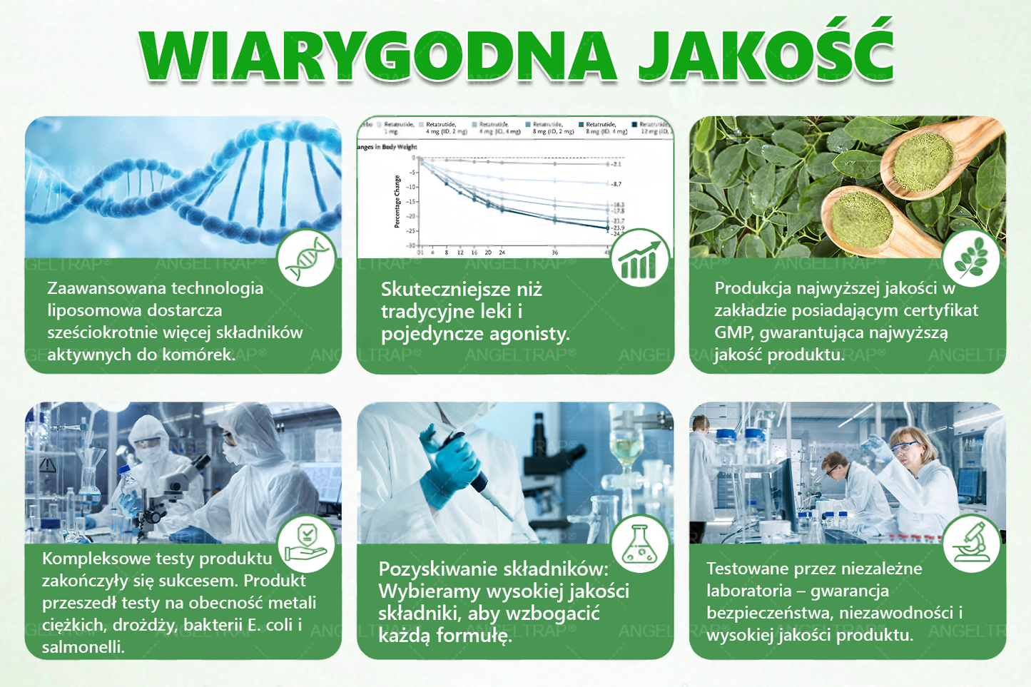 🍀🍀𝑨𝑵𝑮𝑬𝑳𝑻𝑹𝑨𝑷® Moringa × Berberyna × AMPK 10-w-1 Wsparcie metaboliczne, plaster z nanotechnologią mikroigłową 🇵🇱(Wystarczy raz dziennie, widoczne efekty w 7 dni) ✅ Na otyłość, wiotką skórę, cukrzycę, bezdech senny, problemy ze stawami i wiele innych
