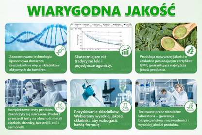 🍀🍀𝑨𝑵𝑮𝑬𝑳𝑻𝑹𝑨𝑷® Moringa × Berberyna × AMPK 10-w-1 Wsparcie metaboliczne, plaster z nanotechnologią mikroigłową 🇵🇱(Wystarczy raz dziennie, widoczne efekty w 7 dni) ✅ Na otyłość, wiotką skórę, cukrzycę, bezdech senny, problemy ze stawami i wiele innych
