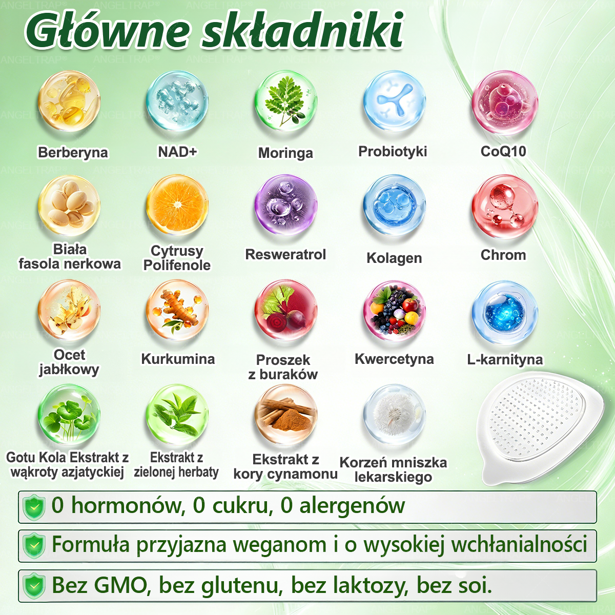 🍀🍀𝑨𝑵𝑮𝑬𝑳𝑻𝑹𝑨𝑷® Moringa × Berberyna × AMPK 10-w-1 Wsparcie metaboliczne, plaster z nanotechnologią mikroigłową 🇵🇱(Wystarczy raz dziennie, widoczne efekty w 7 dni) ✅ Na otyłość, wiotką skórę, cukrzycę, bezdech senny, problemy ze stawami i wiele innych